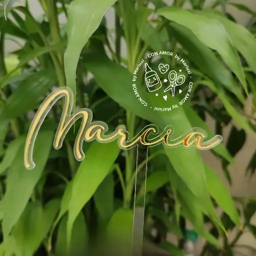 Caketopper nombre de acrilico: 1 línea 2 capas